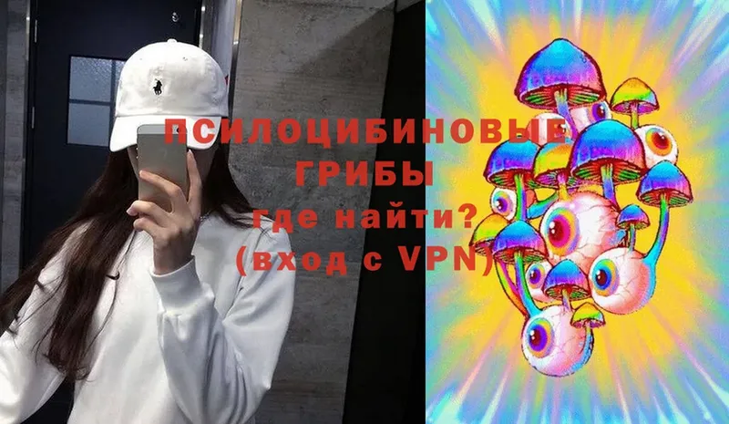 Галлюциногенные грибы Psilocybine cubensis  Балей 